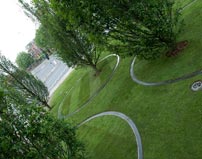 Joyful Trees in Liverpool